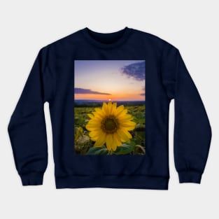 touch the sun Crewneck Sweatshirt